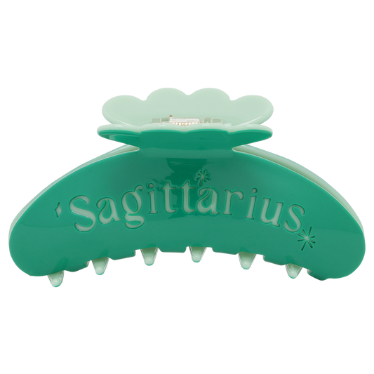 The Zodiac Sign clip Sagittarius