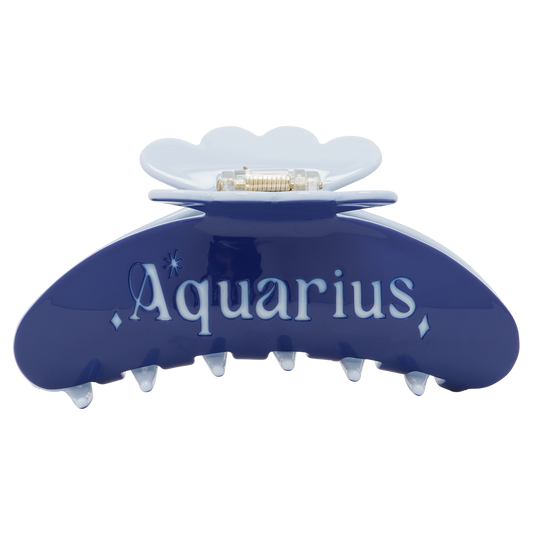 The Zodiac Sign clip Aquarius