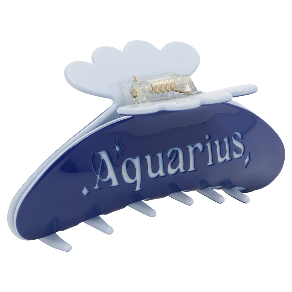 The Zodiac Sign clip Aquarius